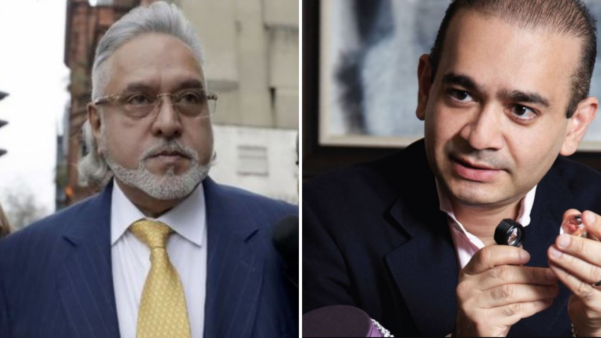 The Enforcement Directorate told special judge Arvind Kumar that 36 businessmen, including Vijay Mallya and Nirav Modi, have fled from the country in the recent past.