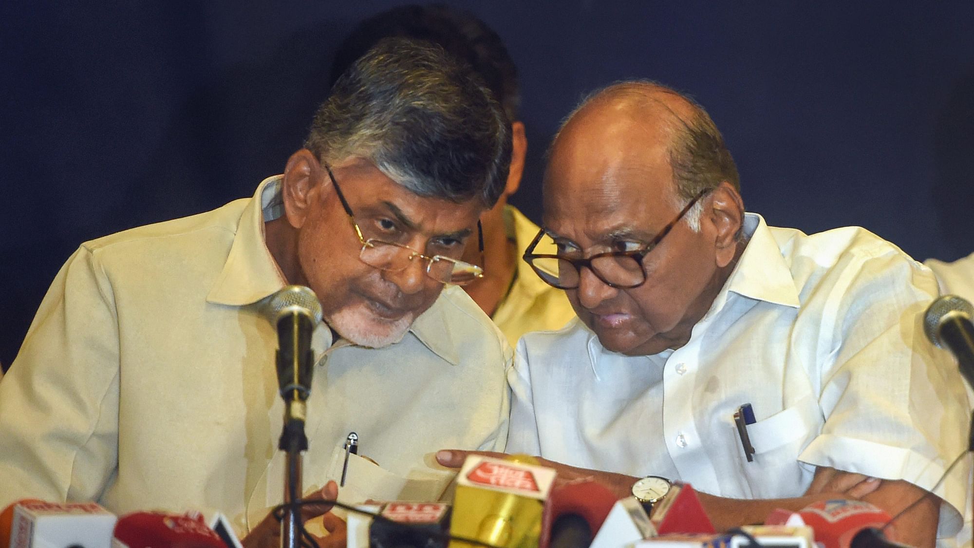 NCP Chief Sharad Pawar (right) along with Andhra Pradesh CM Chandrababu Naidu (left).&nbsp;