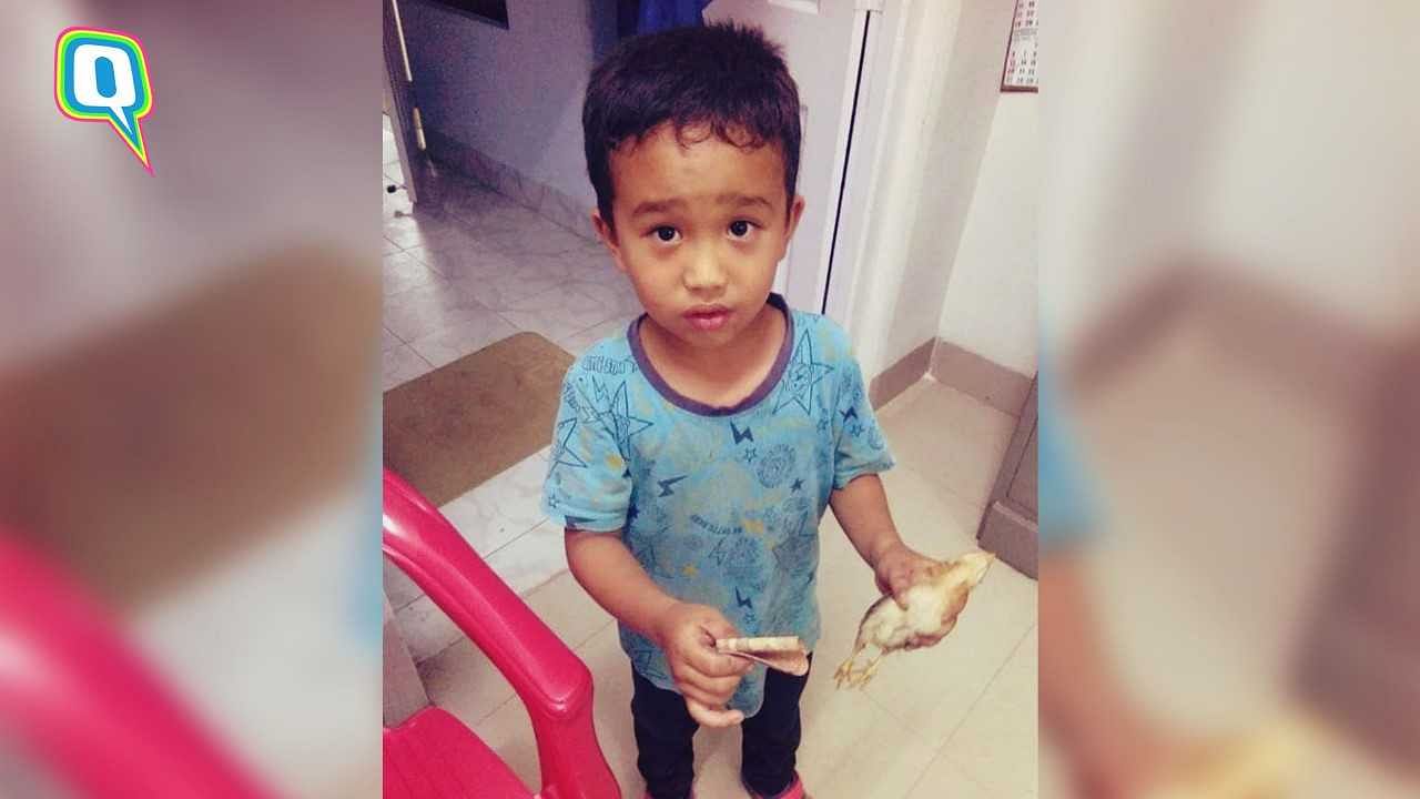 Little boy takes a chicken to hospital