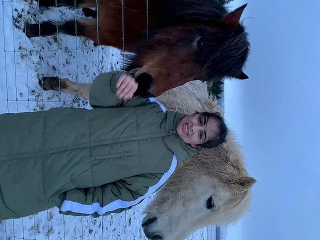 Making friends with the Nordic horses.