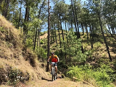 Shimla: Cyclist in action as he takes part in 8th edition of Hero MTB Himalaya Shimla 2019, in Shimla, on April 21, 2019. (Photo: IANS)
