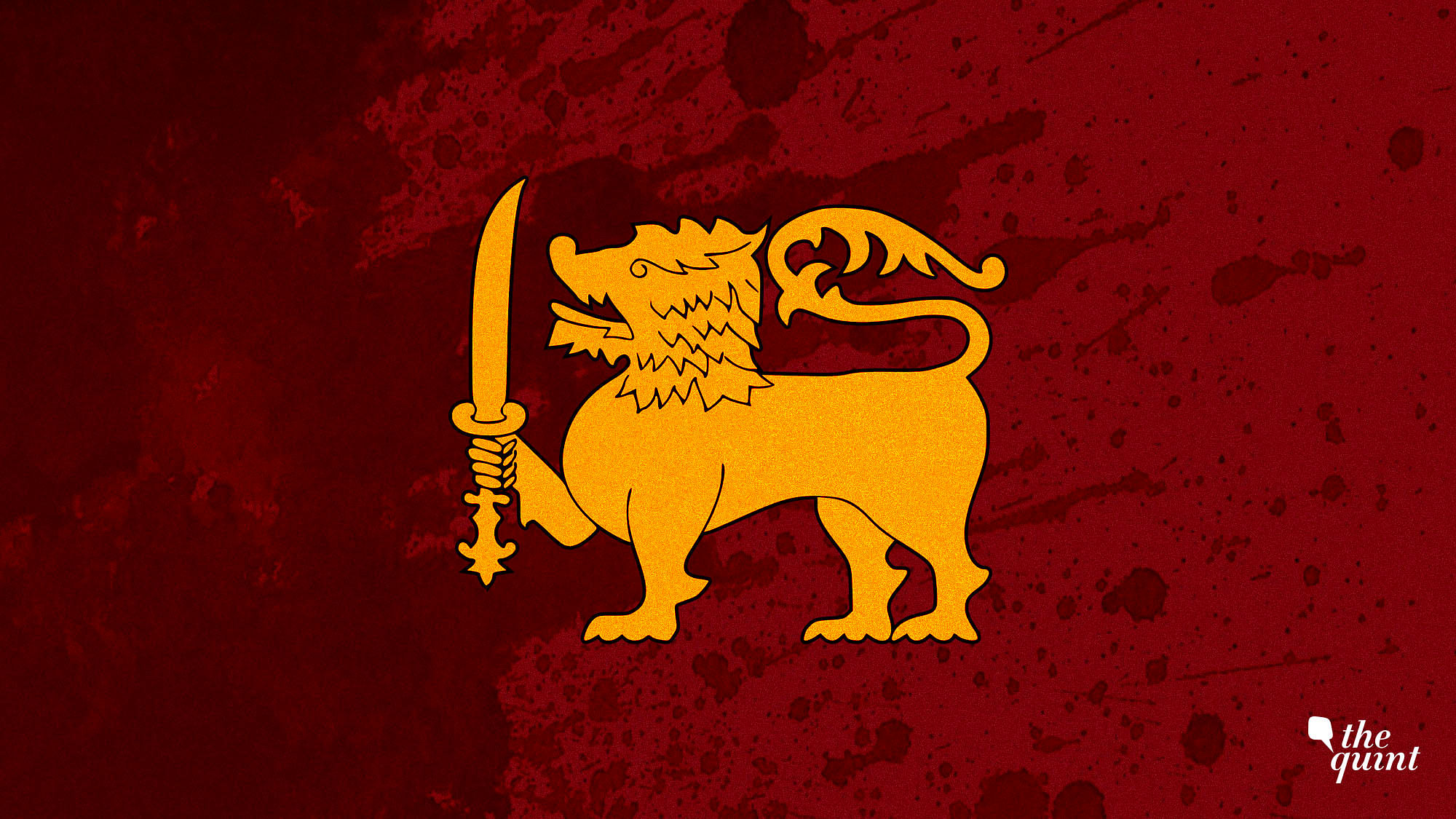 Image of Sri Lankan flag’s centrepiece – the gold lion – used for representational purposes.