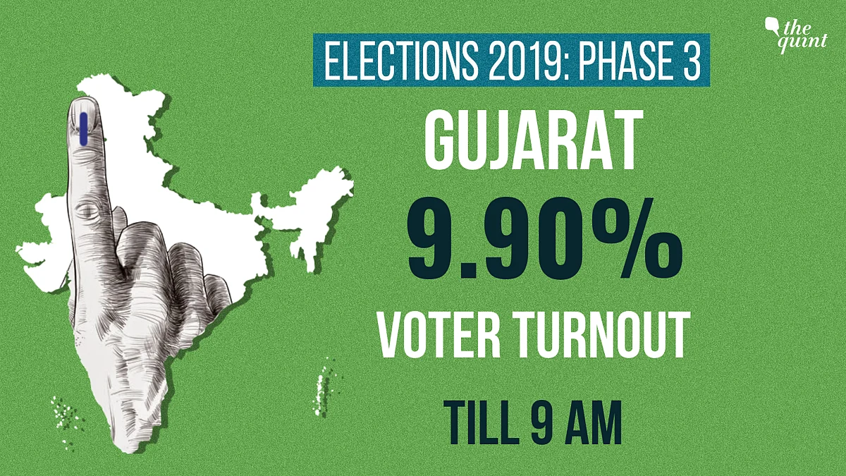 LS Elections: Polling Ends With 64% Voting in Gujarat, 73% in Goa