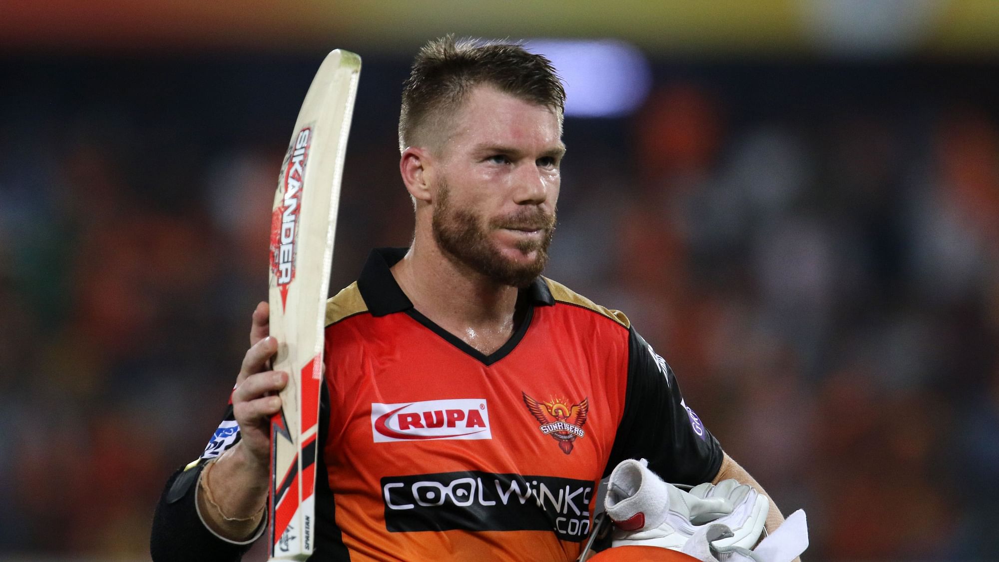 David Warner ended IPL 2019 with eight fifties and a hundred to his name.