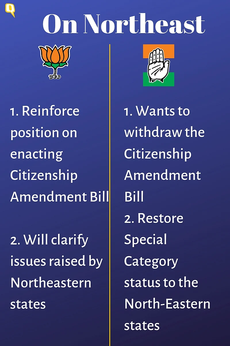 Kasmein & Vaade: What BJP & Congress Are Promising This Election