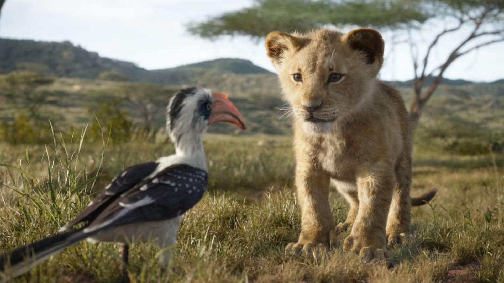 A still from the live action remake of <i>The Lion King</i>.