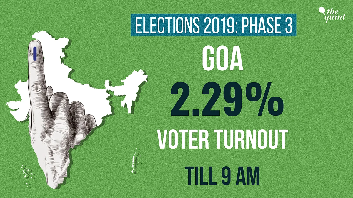 LS Elections: Polling Ends With 64% Voting in Gujarat, 73% in Goa