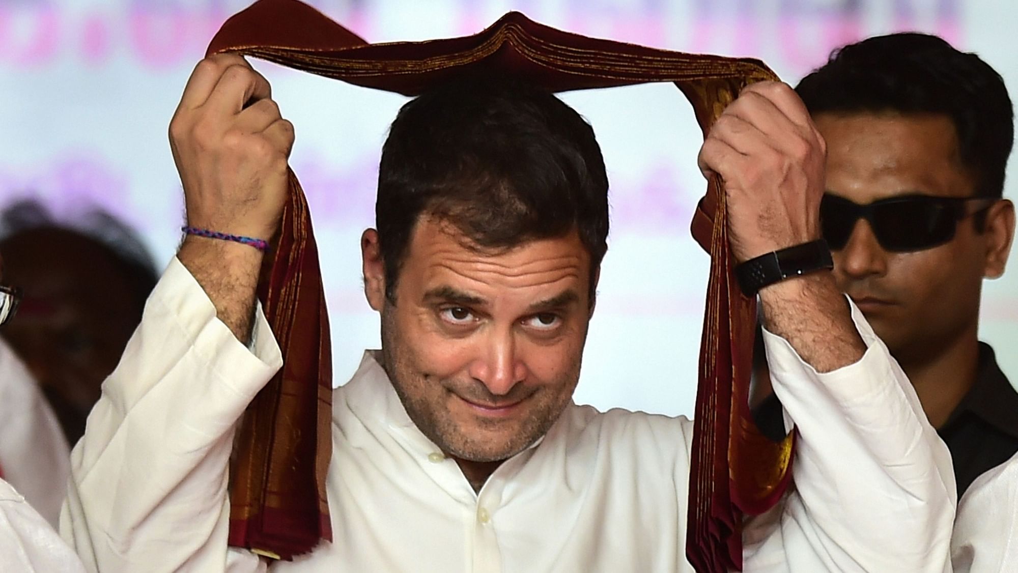 Congress president Rahul Gandhi during a rally in Tamil Nadu.