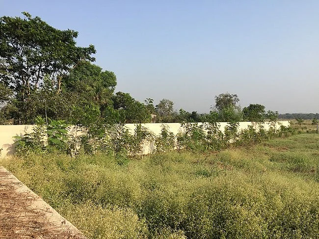 #GoodNews: Malayali Businessman Creates 40 Forests in Seven States