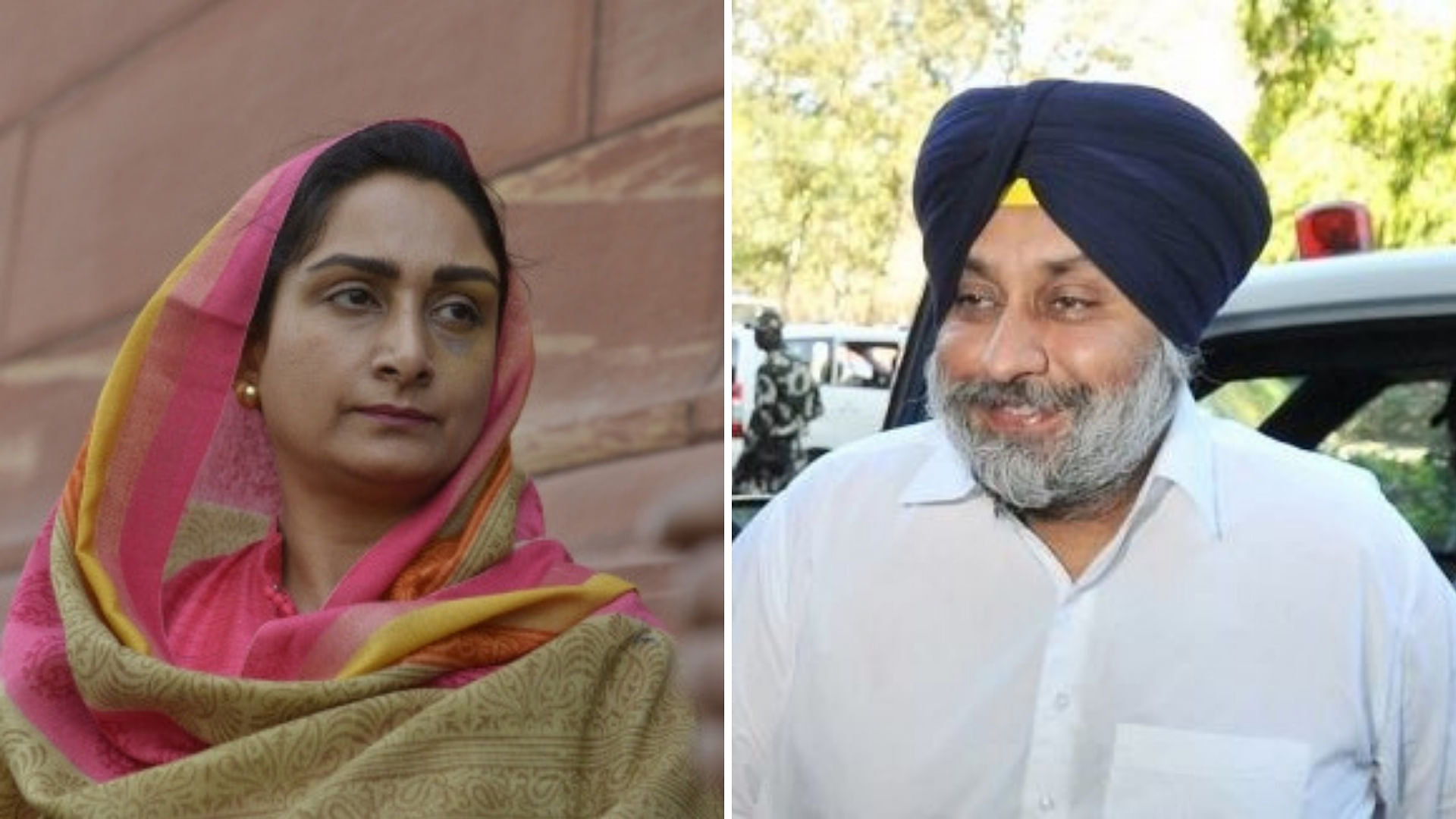 Party chief Sukhbir Singh Badal has been fielded from the Ferozepur seat while his wife and Union minister Harsimrat Kaur Badal has been nominated from the Bathinda seat.