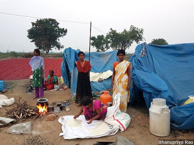 Droughts are a fact of life in Rayalaseema, in western Andhra Pradesh, leaving many homeless, penniless.
