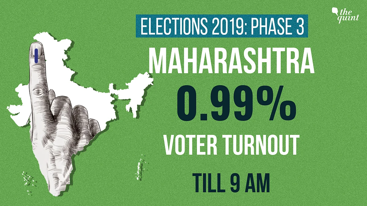 LS Elections: Polling Ends With 64% Voting in Gujarat, 73% in Goa