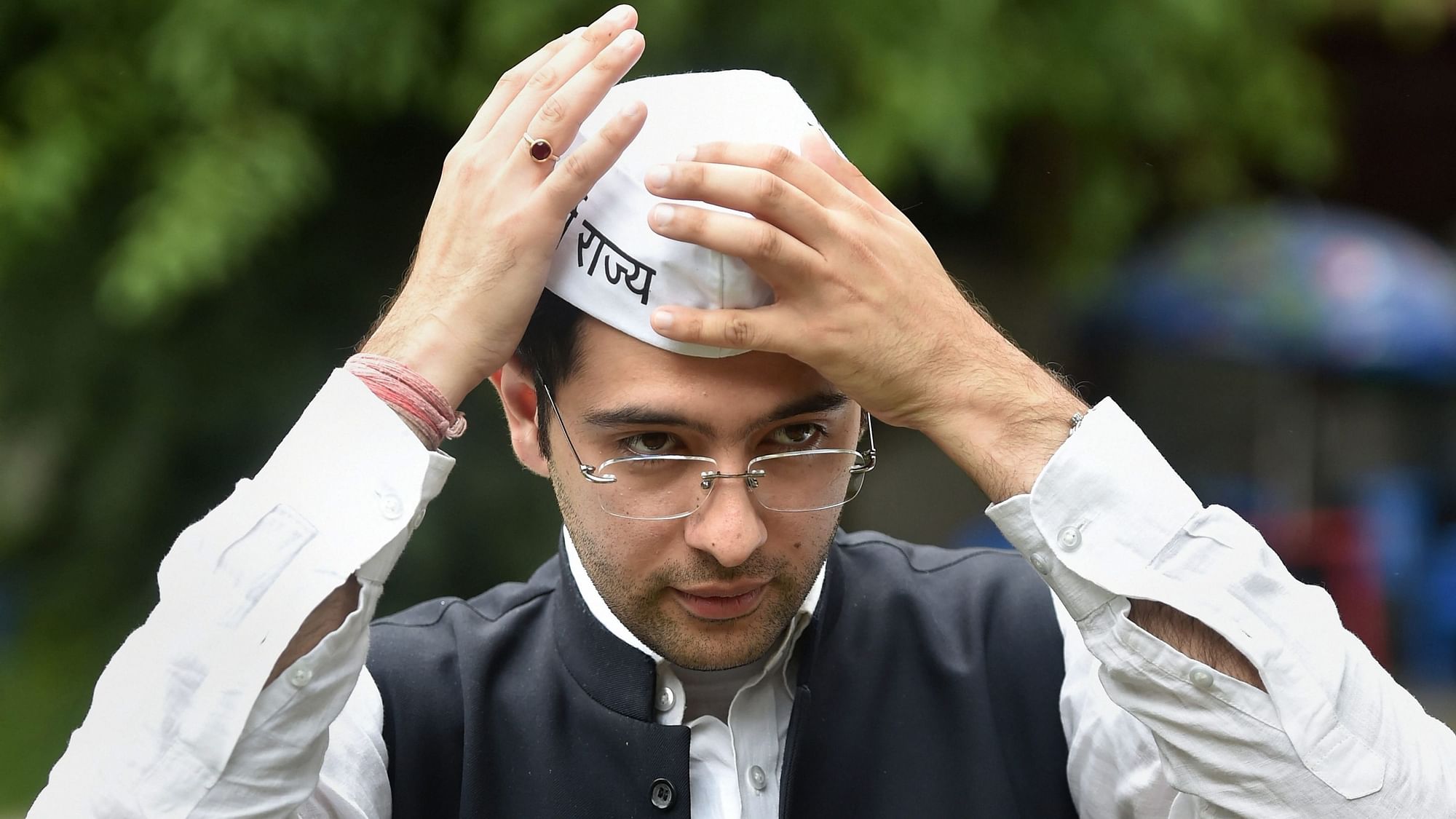 <div class="paragraphs"><p>Aam Aadmi Party MP Raghav Chadha is appointed as the party's co-incharge to handle the upcoming Assembly elections in Gujarat.</p></div>