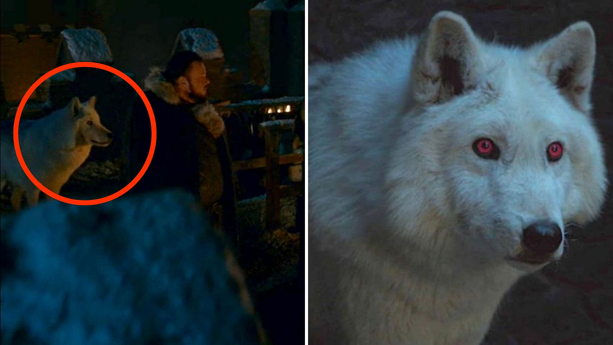 Game of Thrones Finally Gave us a Scene With Ghost. Well, Kind of