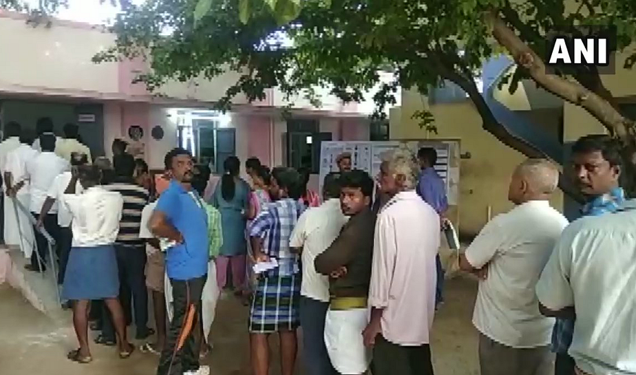 Assembly Bypolls: 77% Final Voter Turnout in TN, 75% in Panaji