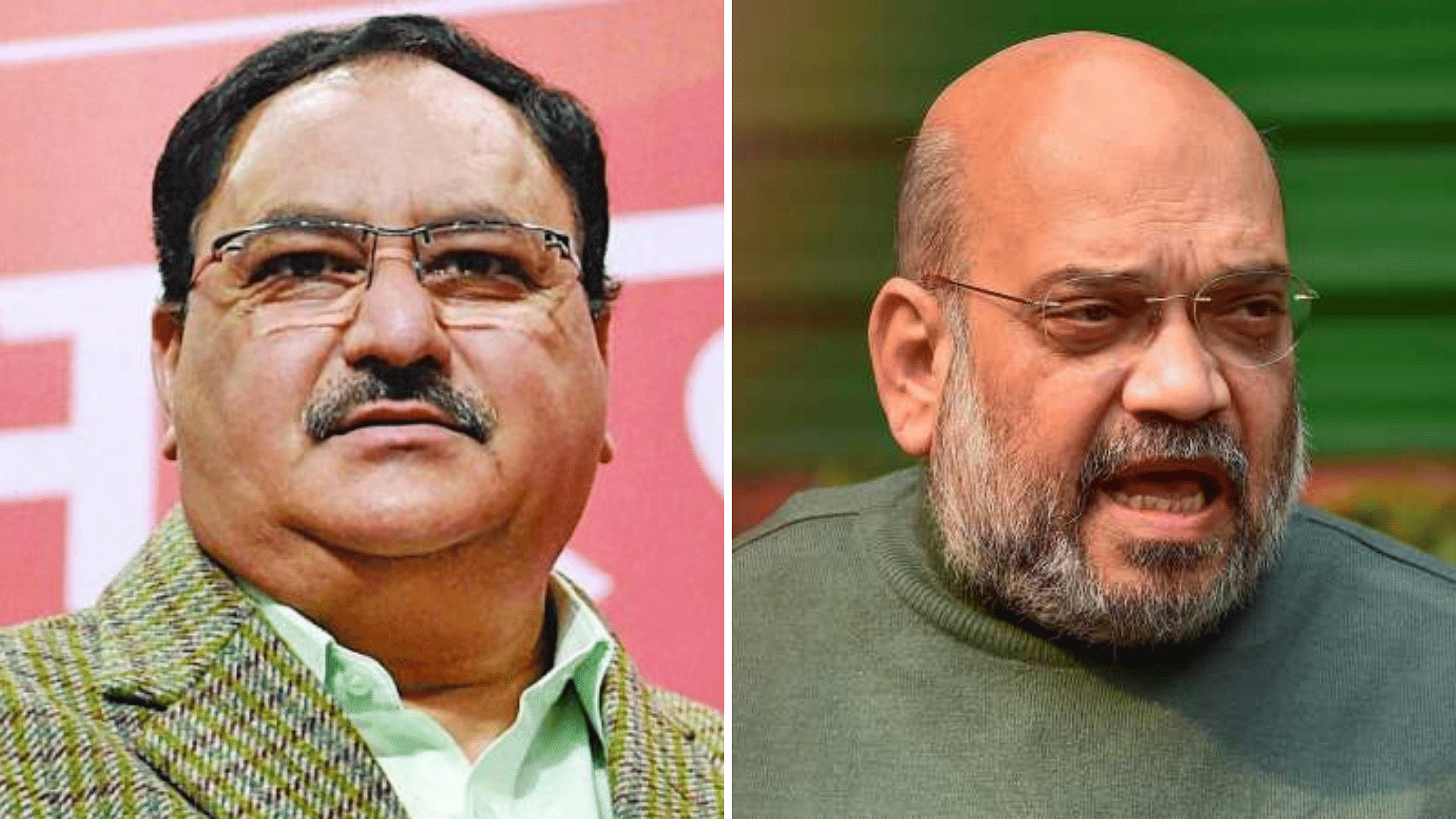 BJP leader JP Nadda and the new Cabinet Minister, Amit Shah.
