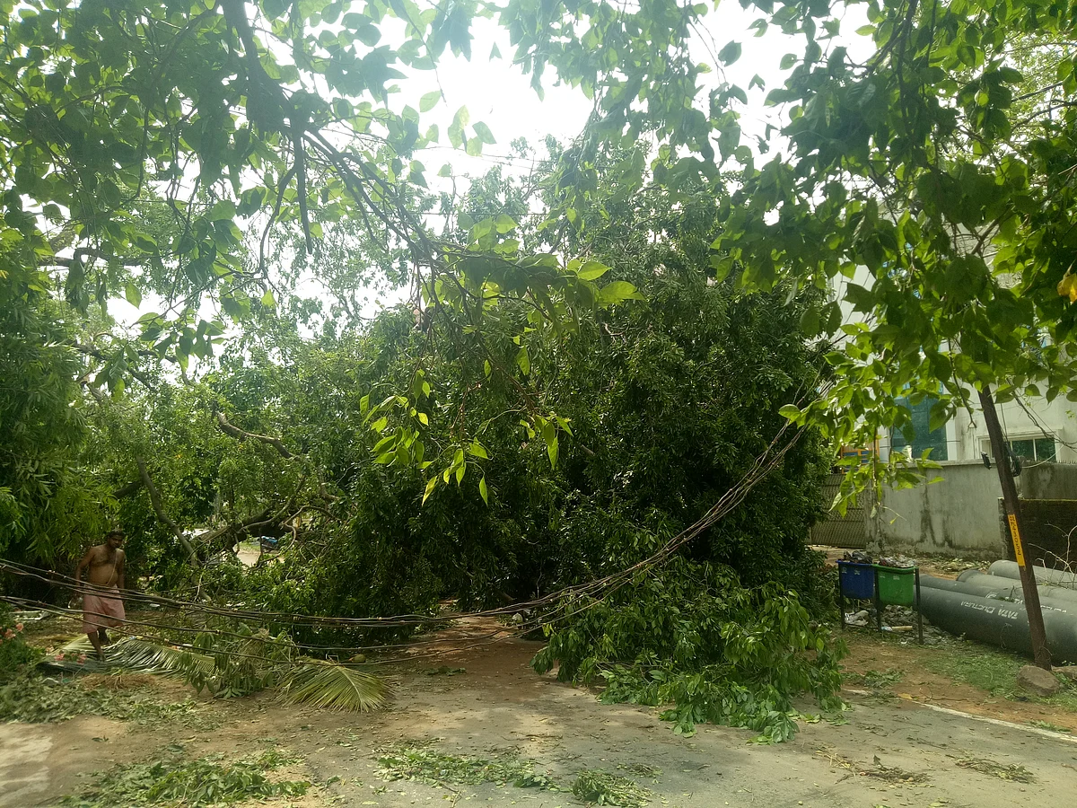 Cyclone Fani uprooted trees and causes huge damage to electricity supply infrastructure in Bhubaneswar. 