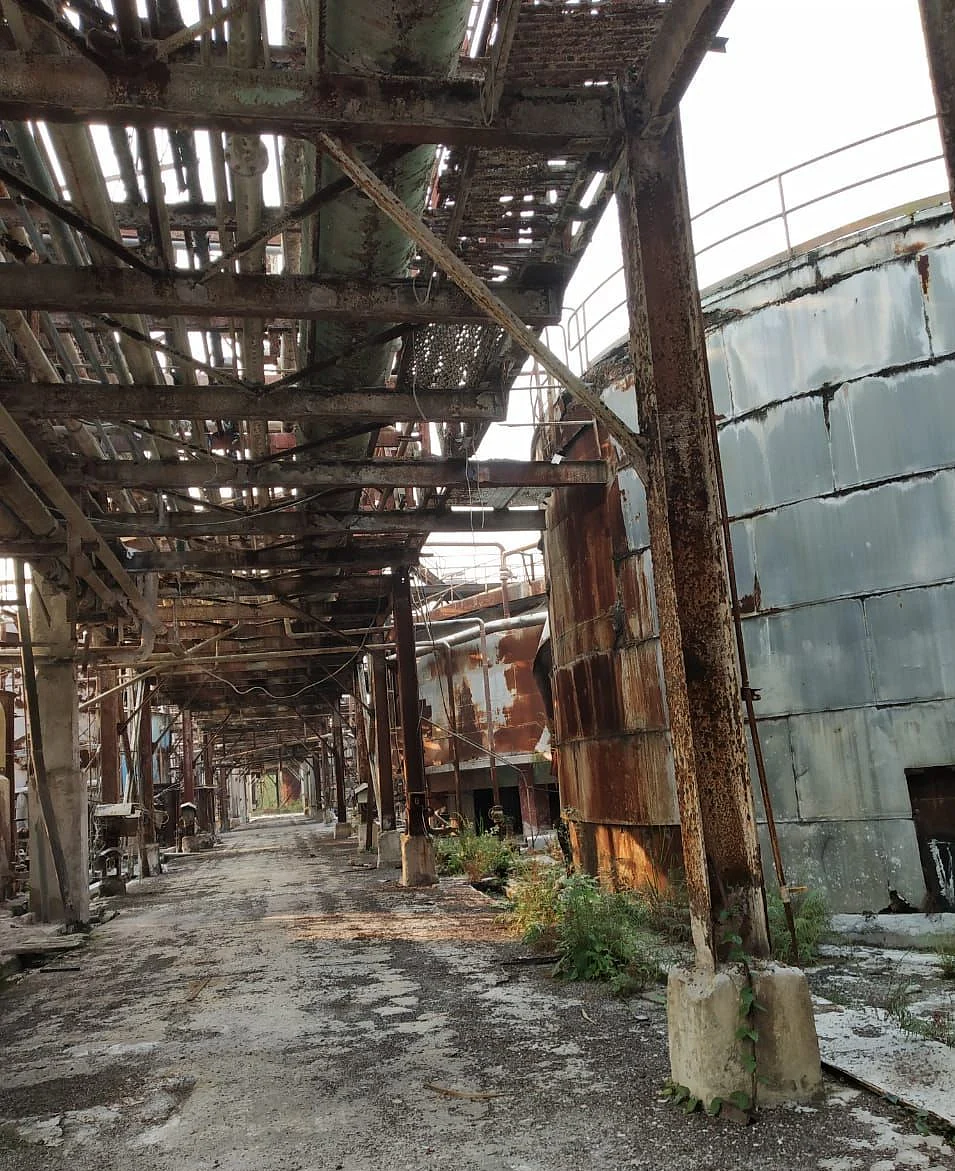 The abandoned paper mill in Nagaon.