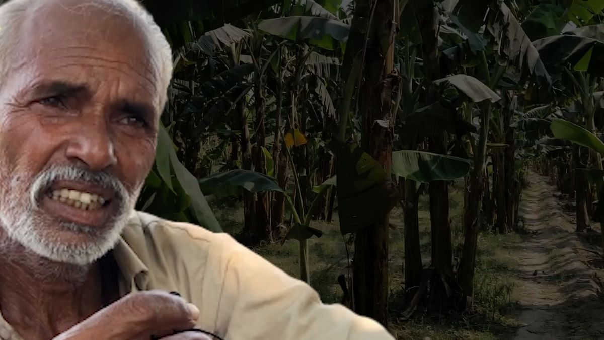 Hajipur’s banana farmers tell <b>The Quint</b> about not receiving any help from the government. 