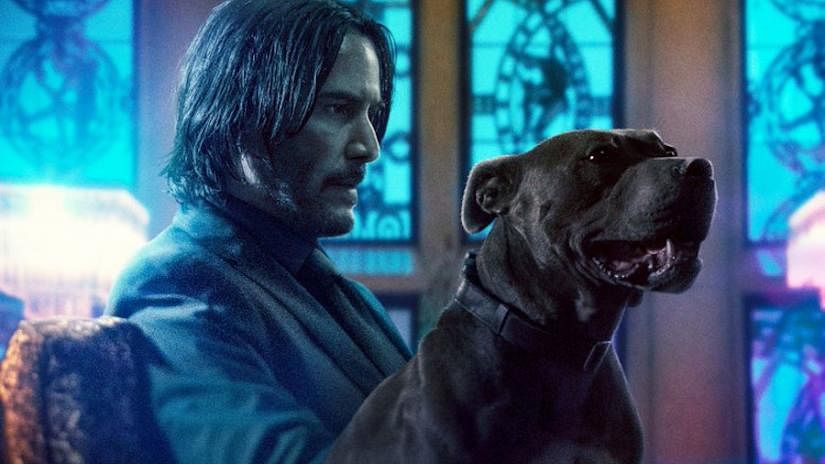 John Wick: Chapter 3 – Parabellum is directed by Chad Stahelski.
