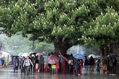 Shimla: People take shelter under a tree during rains in Shimla on May 14, 2019. (Photo: IANS)