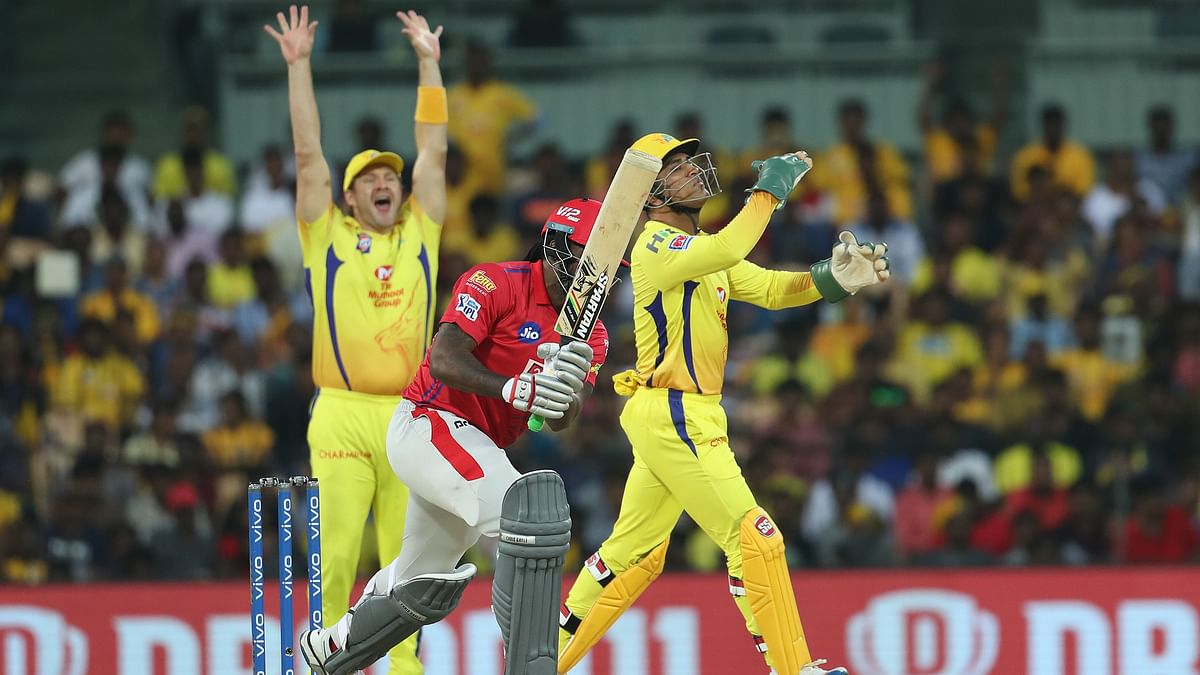 Here is look at how Chennai Super Kings made their way to the playoffs in IPL 2019: