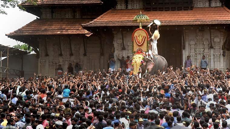 Ramachandran, the 54-year-old elephant pictured here signaling the start of Thrissur Pooram festival by bursting through the southern door of the Vadakumnathan temple.