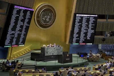 <div class="paragraphs"><p>The United Nations General Assembly </p></div>