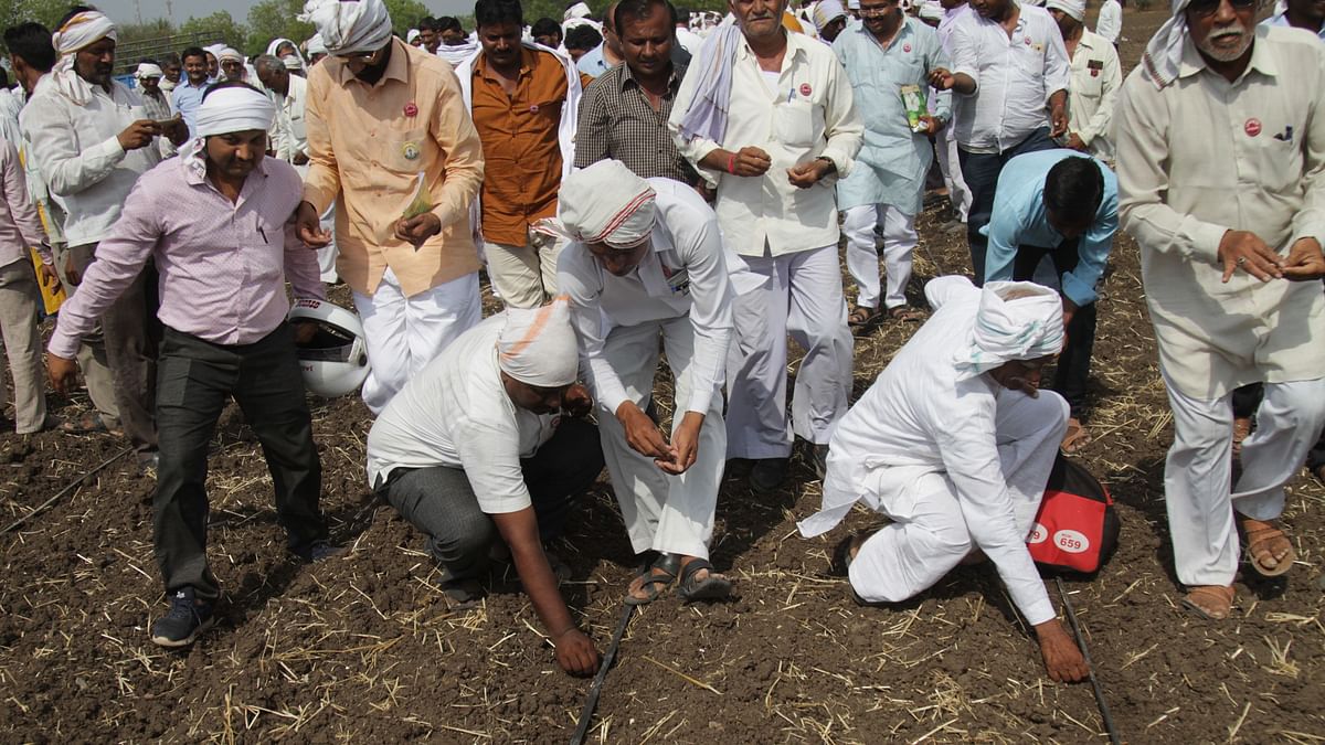 ‘Azadi, Tantragyaan Ki Azadi’: Why Farmers Want Technology Rights