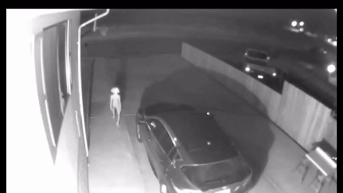Creature Like Harry Potter Elf Dobby Spotted On Cctv Outside House