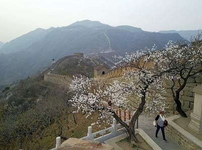 BEIJING, April 11, 2017 (Xinhua) -- Aerial photo taken on April 10, 2017 by a drone shows the spring scenery of the Mutianyu section of the Great Wall in Huairou, a mountainous district in the north of Beijing, capital of China. (Xinhua/Luo Xiaoguang)