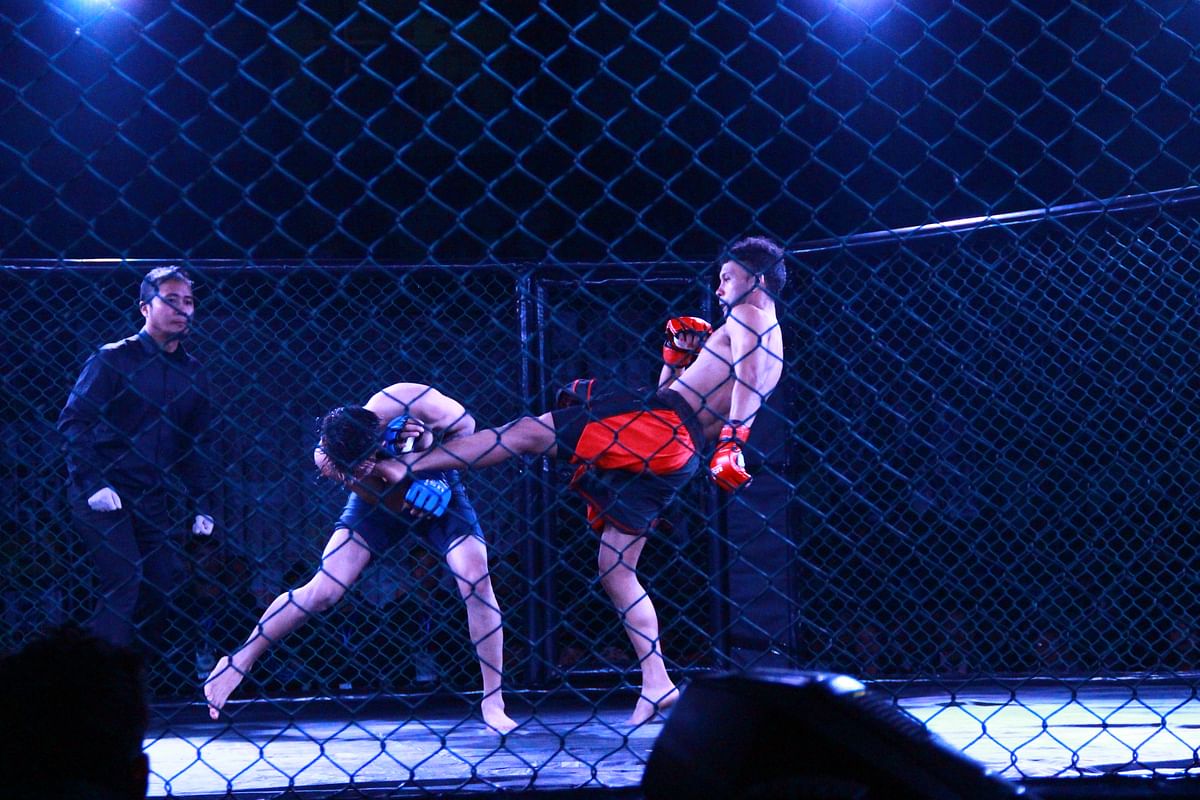Mixed Martial Arts (MMA) is one of the fastest growing sport in the world.