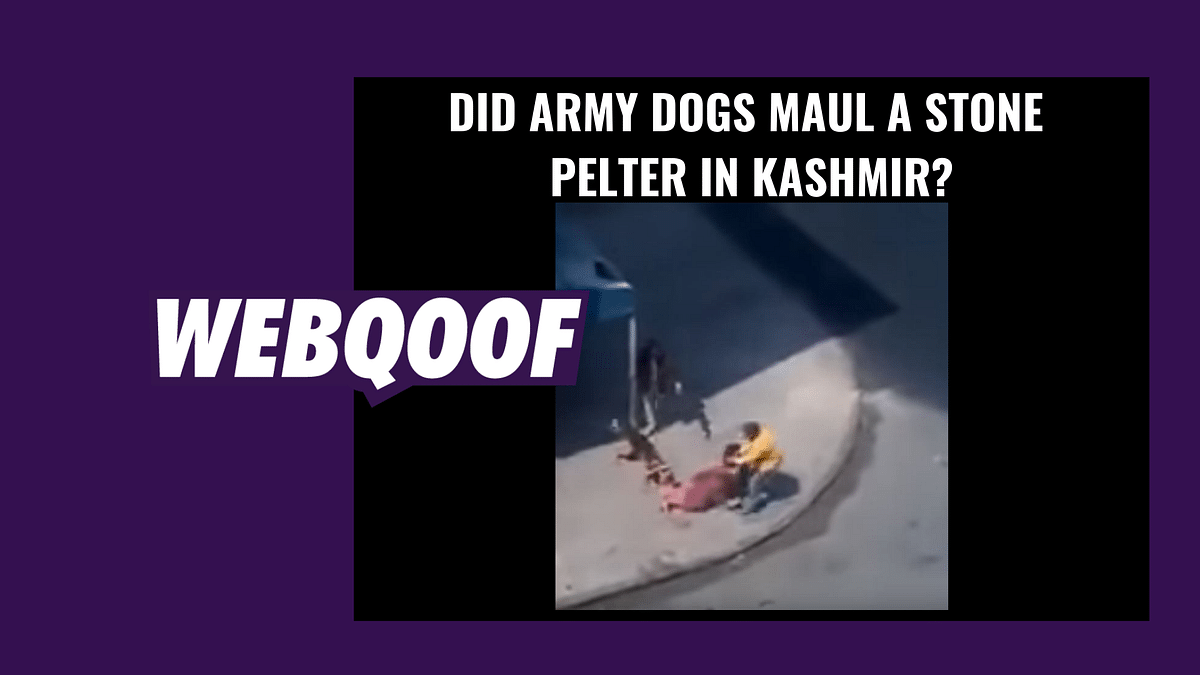 No, Two Army Dogs Didn’t Attack a Stone Pelter in Kashmir