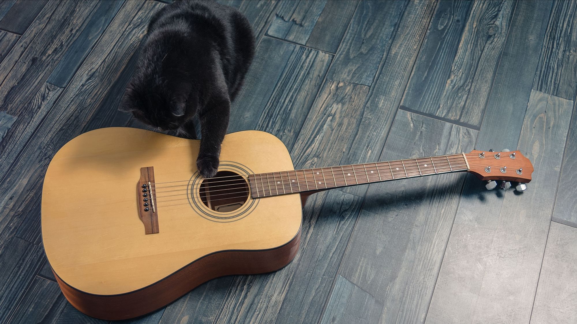 A video of a cat playing the guitar to wake up his human has gone viral.