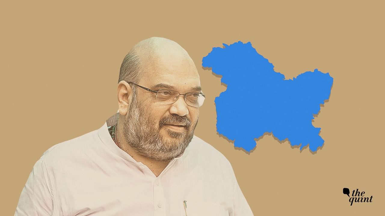 <div class="paragraphs"><p>Assembly elections in Jammu and Kashmir will be held after completion of the ongoing <a href="https://www.thequint.com/voices/jk-delimitation-draft-another-experiment-to-disempower-kashmir">delimitation process</a>, Home Minister Amit Shah said during a virtual conference on Saturday, 22 January.</p></div>