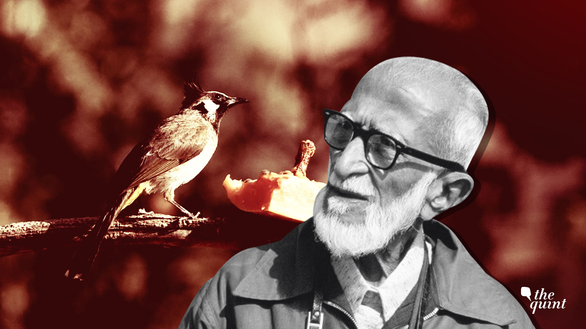 Salim Ali, the Birdman of India.