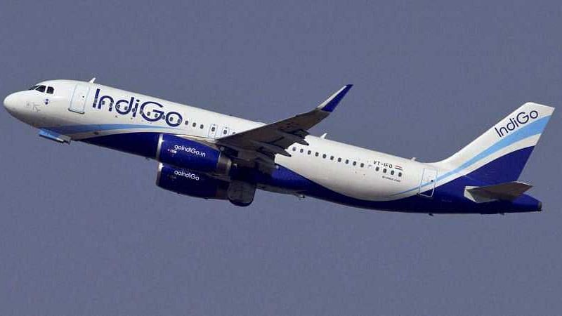 Indigo is India’s largest domestic airline by market share.