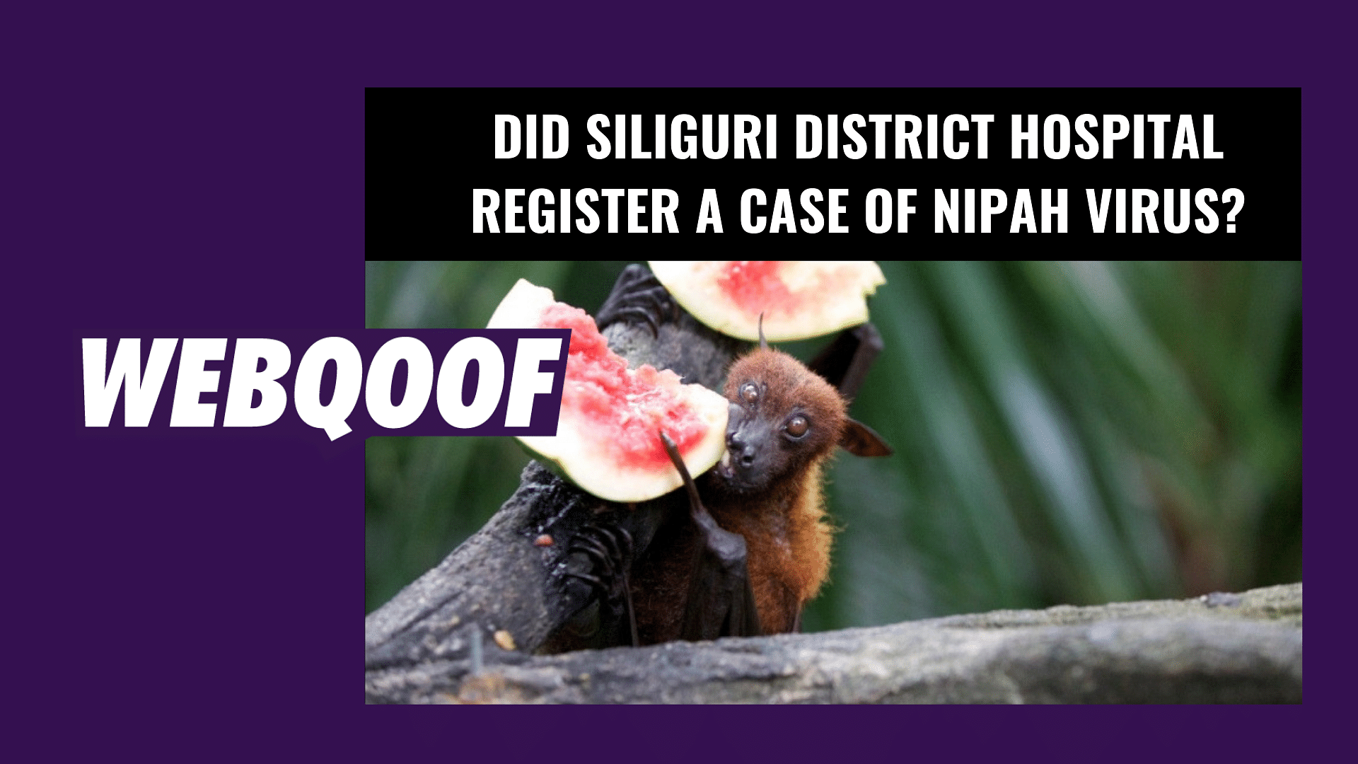 A message has been doing the rounds on social media claiming that cases of Nipah virus have been registered at the Siliguri District Hospital.