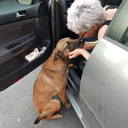 Banu Cengiz is a dog lover. 