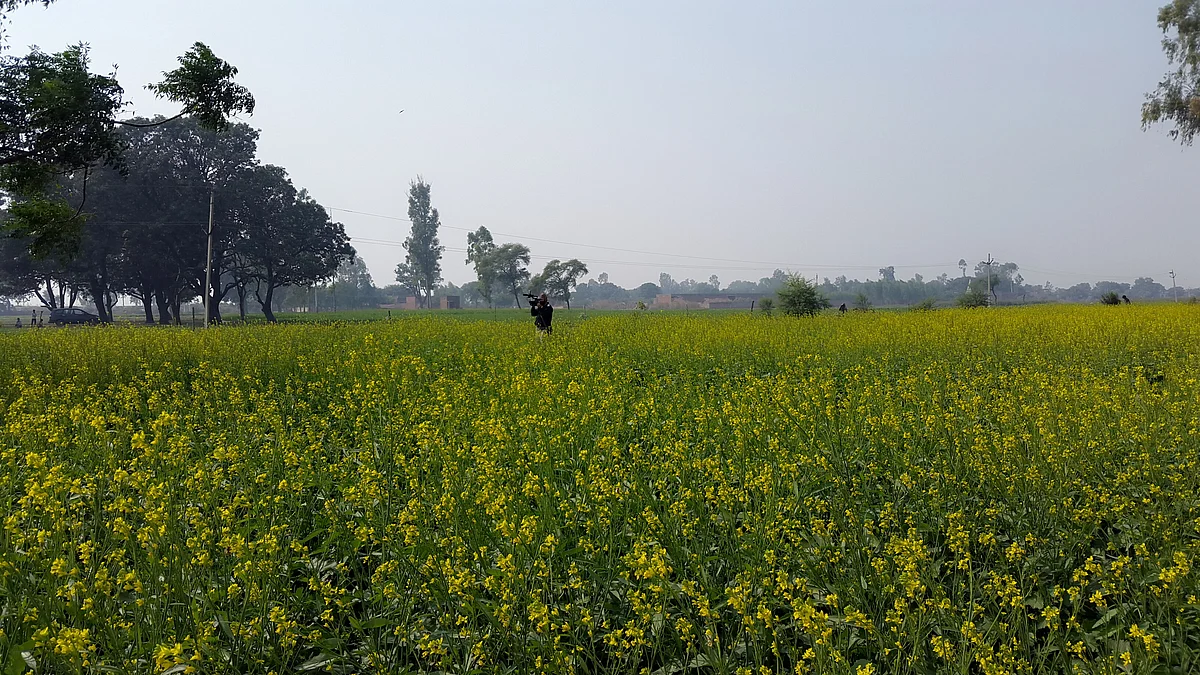 The events that led to the death of two teenaged girls in Badaun remain a mystery.
