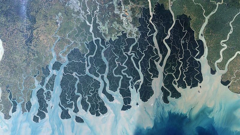 (Cropped image). Landsat 7 image of Sundarbans, released by NASA Earth Observatory. Image used for representational purposes.