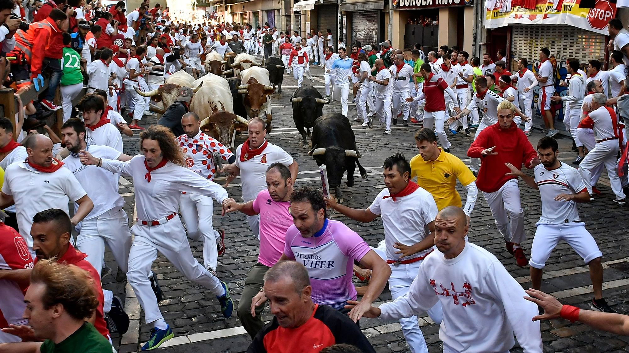 Revellers run next to fighting bulls during the running of the bulls at the San Fermin Festival, in Pamplona, northern Spain.