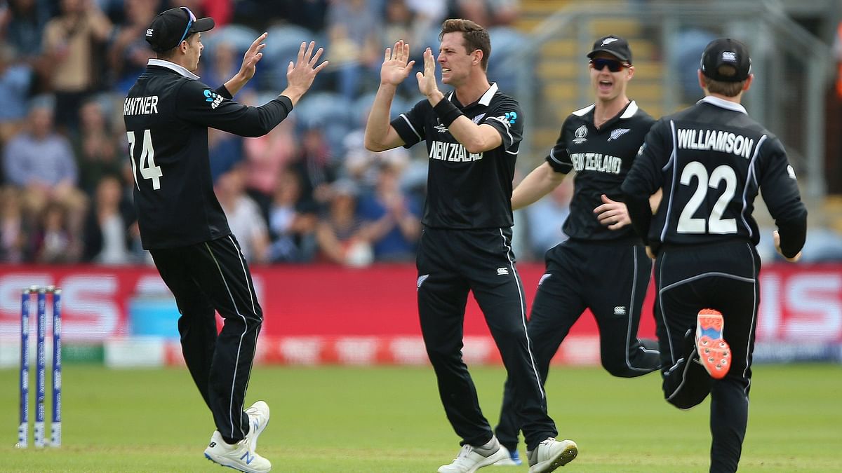 Williamson said New Zealand would look to put up a fighting performance in the World Cup final against England.