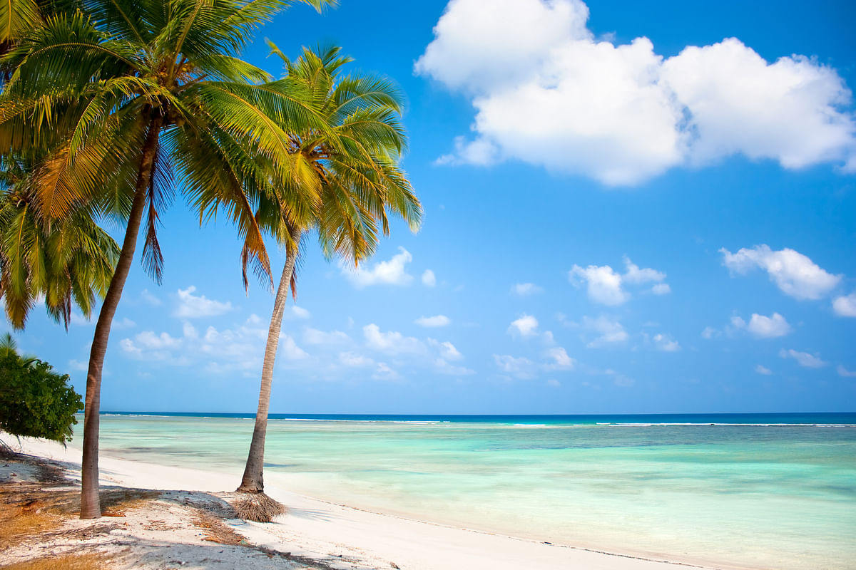Fast internet is going to change how you vacation in Lakshadweep.