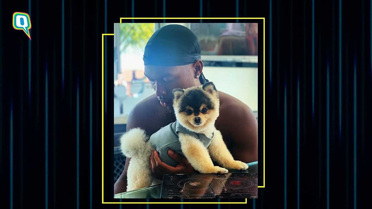 Ex Liverpool Footballer Daniel Sturridge Caught In Controversy With Rapper Killa Fame Over Missing Dog