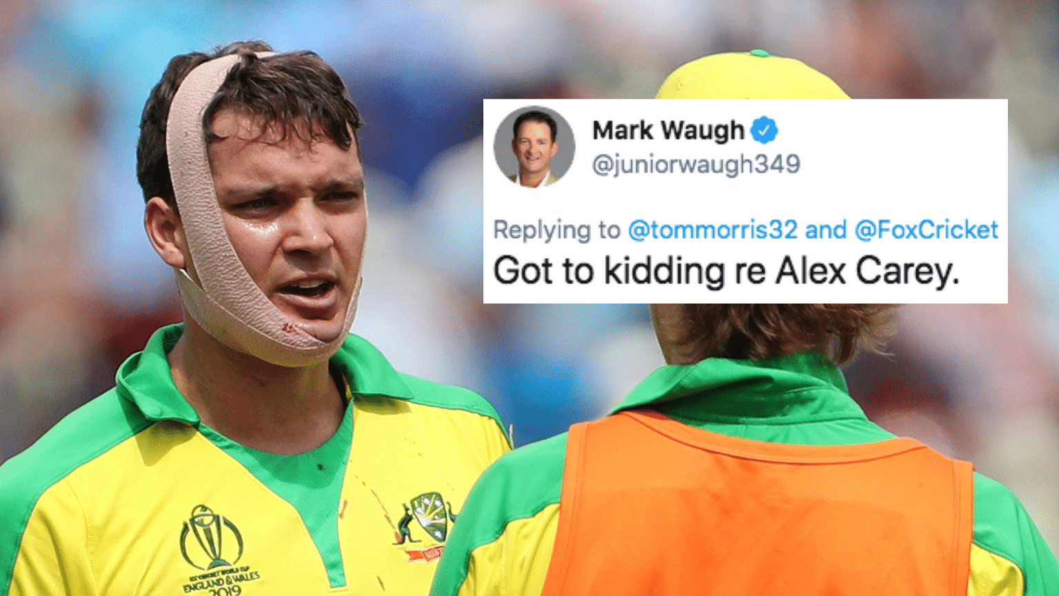  Alex Carey’s omission from the Ashes squad was met with disbelief by former Australian greats Mark Waugh and Shane Warne.