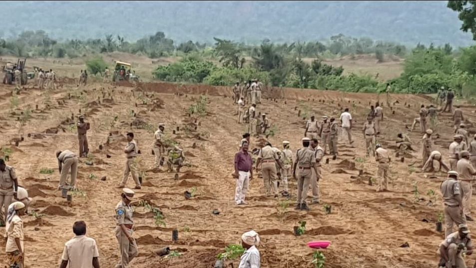 The Telangana Forest Department on Monday carried out a mass plantation drive in Komaram Bheem’s Sirpur Kagaznagar block in Asifabad.