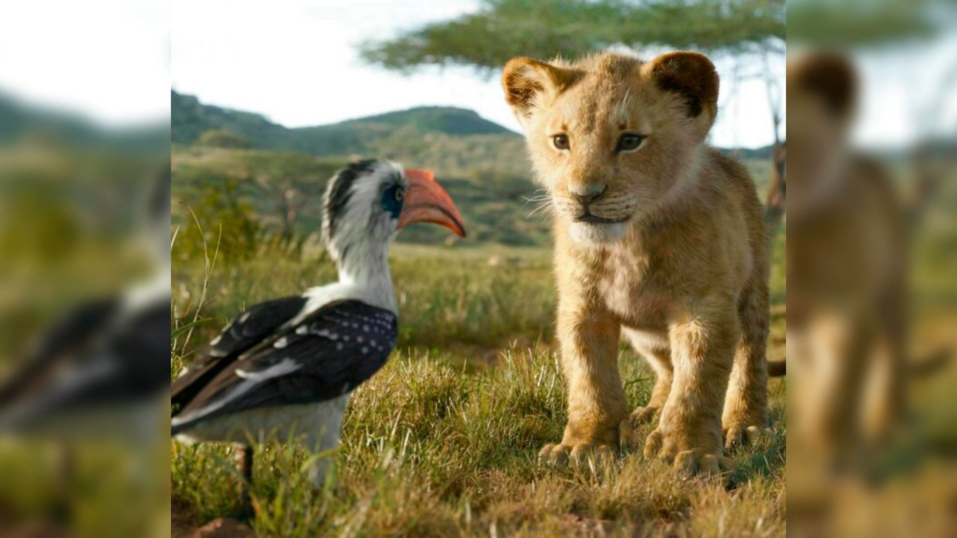 Simba and Zazu in a still from the live-action remake of <i>The Lion King.</i>