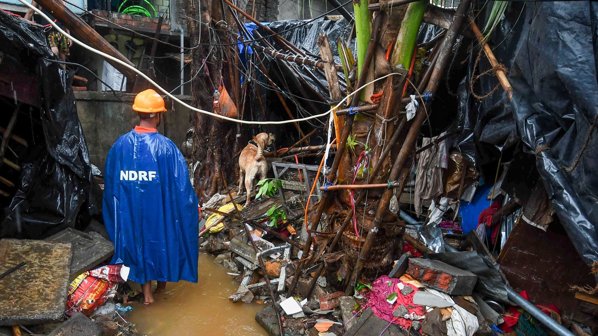 A member of the rescue team with a sniffer dog searches for people trapped under the debris of a wall that collapsed during heavy rain in Malad East, Mumbai.