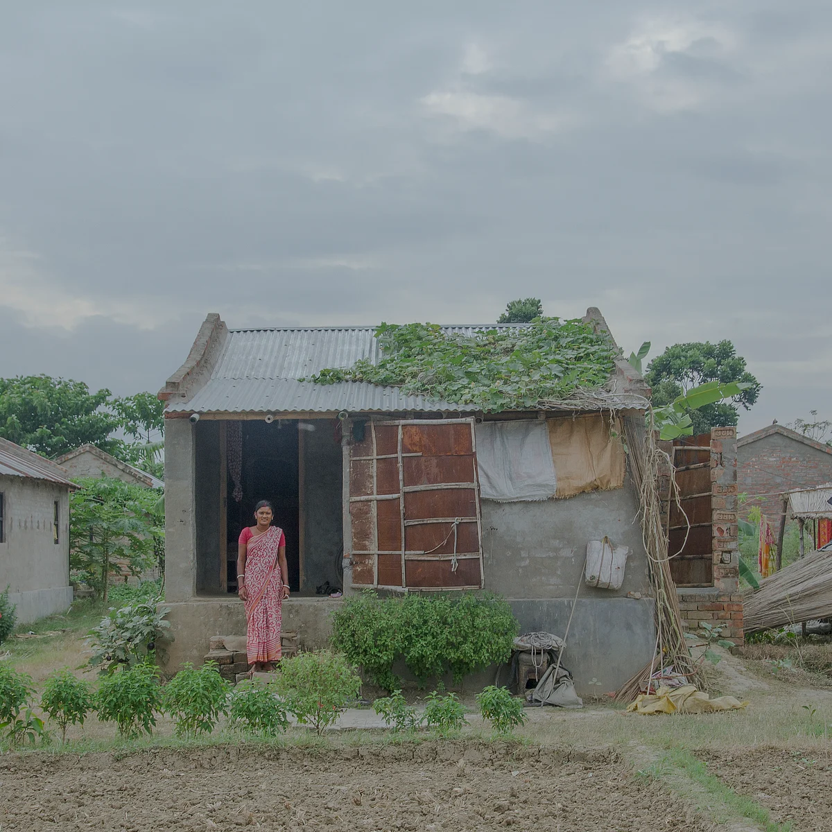 The houses in these sandbanks are mostly made of bamboos and straws.